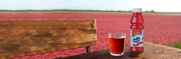 ocean-spray-brand-banner_EN_FR_CA_tablet